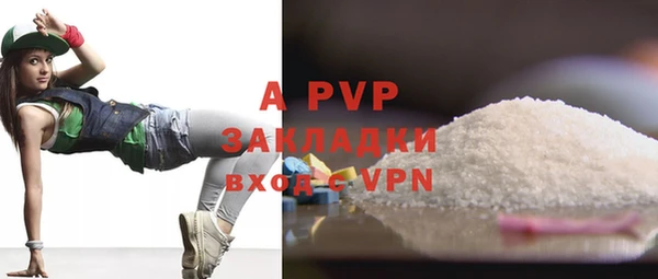 стаф Баксан