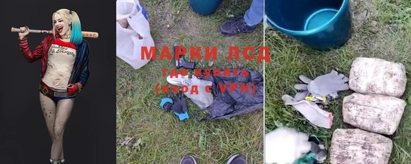 стаф Баксан