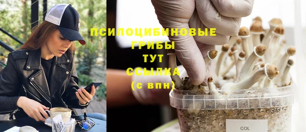 стаф Баксан