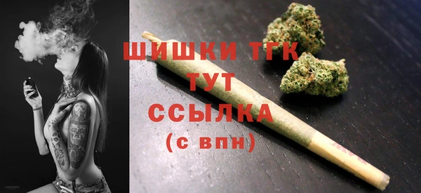 стаф Баксан