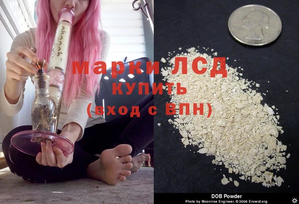стаф Баксан