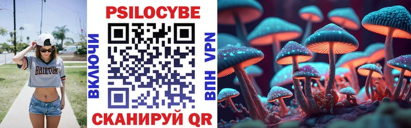 Купить где Донской Галлюциногенные грибы ЛСД